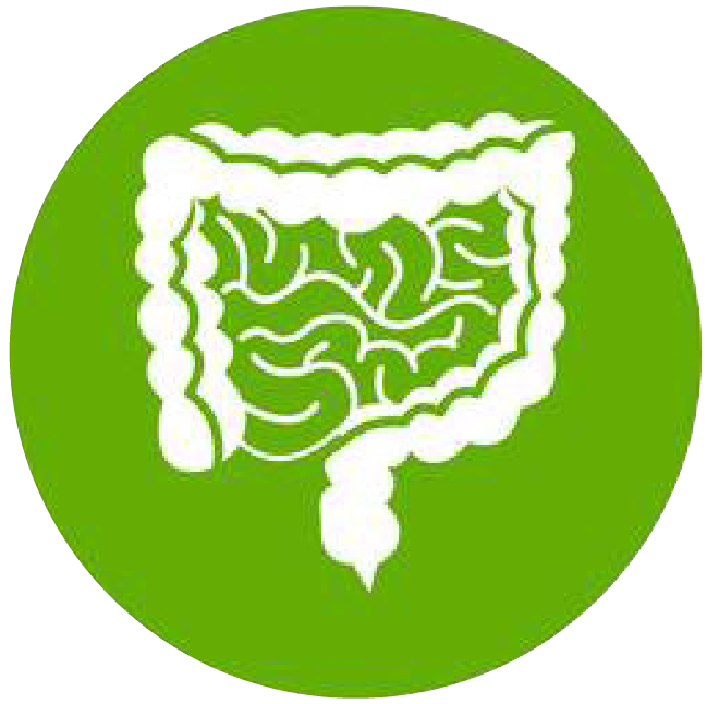 關(guān)注職場“腸”態(tài)，守護員工健康——上海格瑞特特邀消化內(nèi)科專家公益系列講座（4）(圖1)