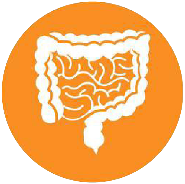關(guān)注職場“腸”態(tài)，守護員工健康——上海格瑞特特邀消化內(nèi)科專家公益系列講座（4）(圖4)
